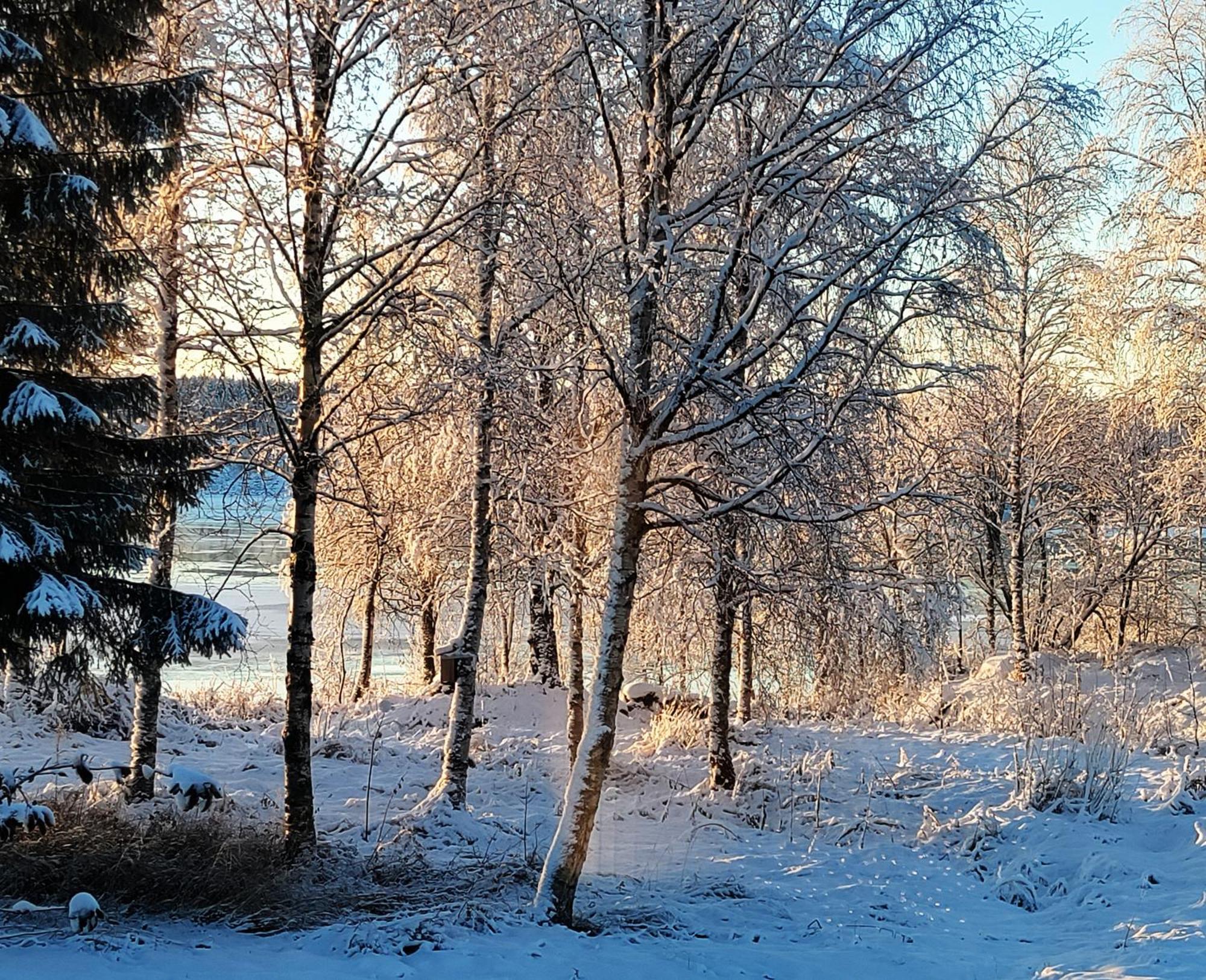 Villa Puistola & Sauna, Near Santa'S Village Rovaniemi Exterior foto